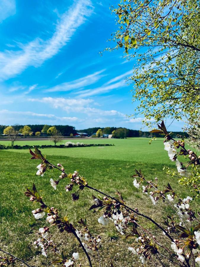 Pensionat Lilla Paradiset Hällevik Eksteriør billede