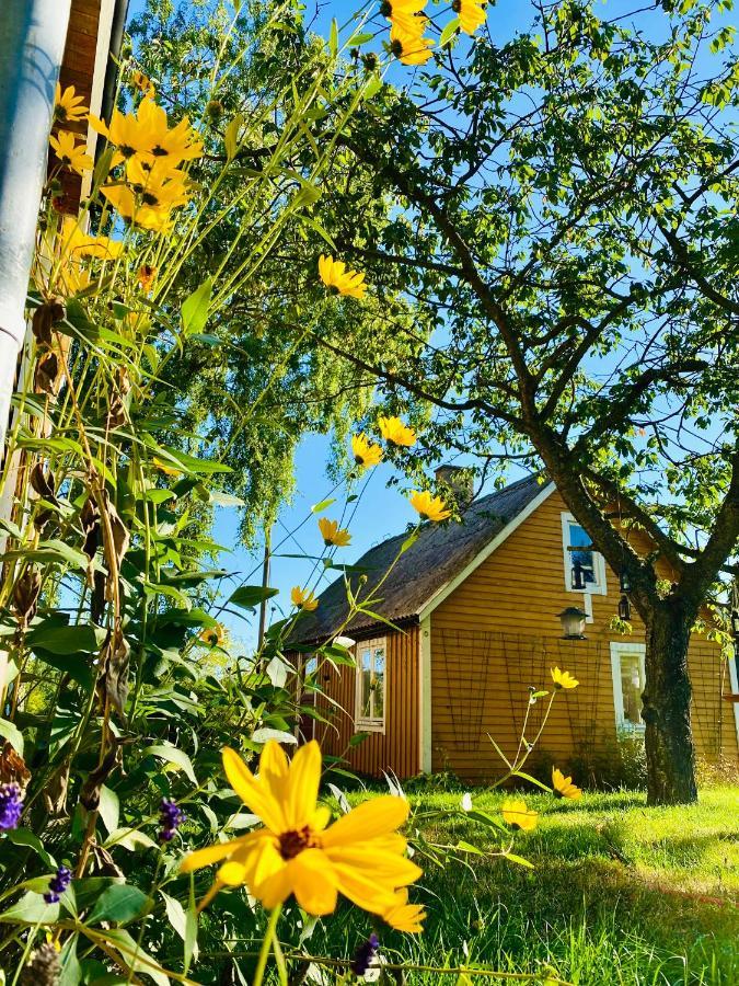 Pensionat Lilla Paradiset Hällevik Eksteriør billede